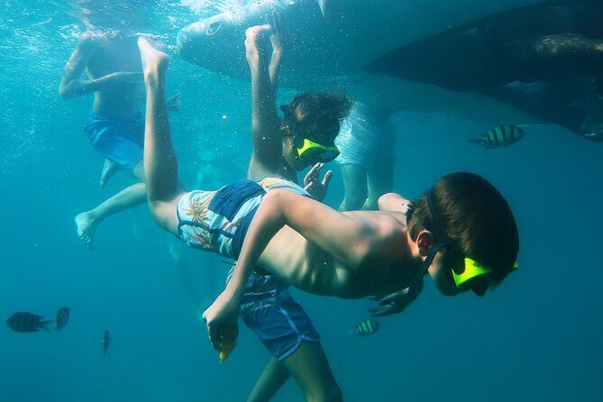 Phuket 3 Khai Island Speedboat With Snorkeling (Half or Full Day) - The Vibe and Who It’s Best For