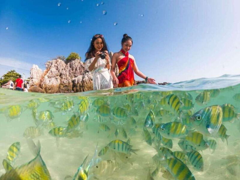 Phuket: 3 Khai Islands Snorkeling Tour - Final Thoughts: Who Should Book This Tour?