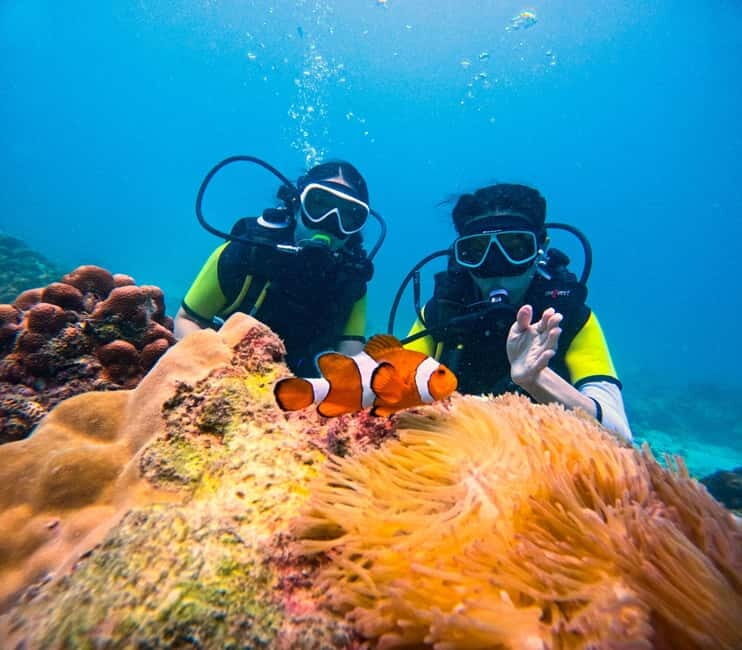 Phuket: 3 Khai Islands Speedboat Tour- Snorkeling & Relaxing - An In-Depth Look at the Tour Experience