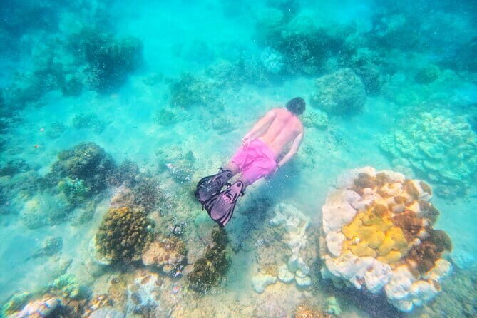 Phuket 3 Micro Khai Islands With Snorkeling At Your Leisure - The Experience: What Travelers Are Saying