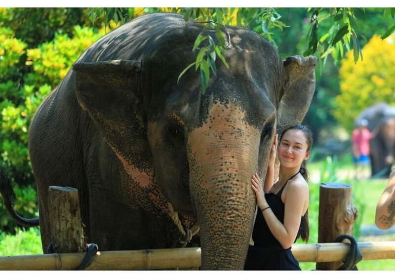 Phuket: Bamboo Rafting, ATV (Optional), Elephant Bathing. - Final Thoughts