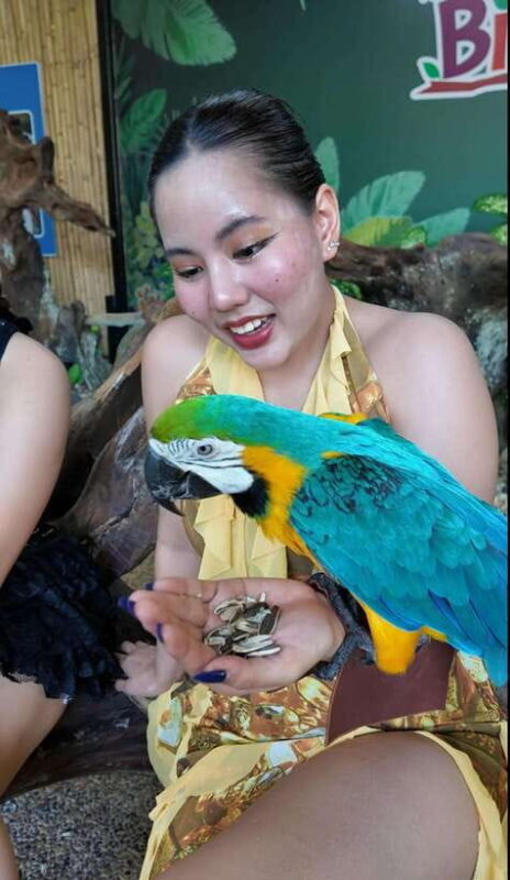 Phuket: Bird Park Entry Ticket - Final Thoughts: Is It Worth It?