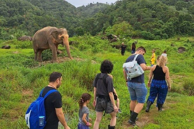 Phuket City Tour & Elephant Sanctuary: Sights, Tastes, Culture - Authentic Experiences and Practicalities