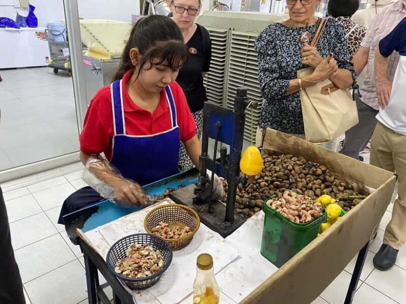 Phuket City Tour with Night Market Visit & Elephant Feeding - The Bottom Line
