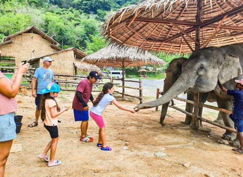 Phuket City Tour with Viewpoints, Temples & Elephant Feeding - The Experience: What Travelers Say