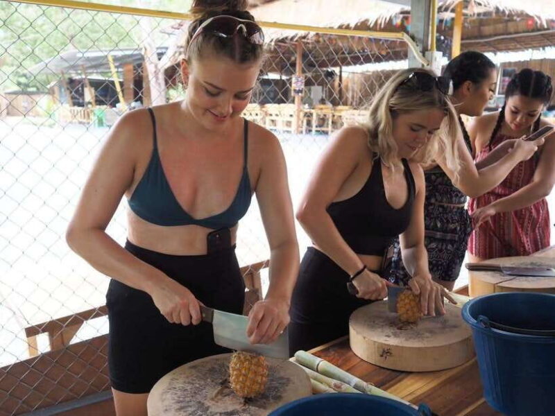 Phuket City Tour with Viewpoints, Temples & Elephant Feeding - Final Thoughts: Is It Worth It?