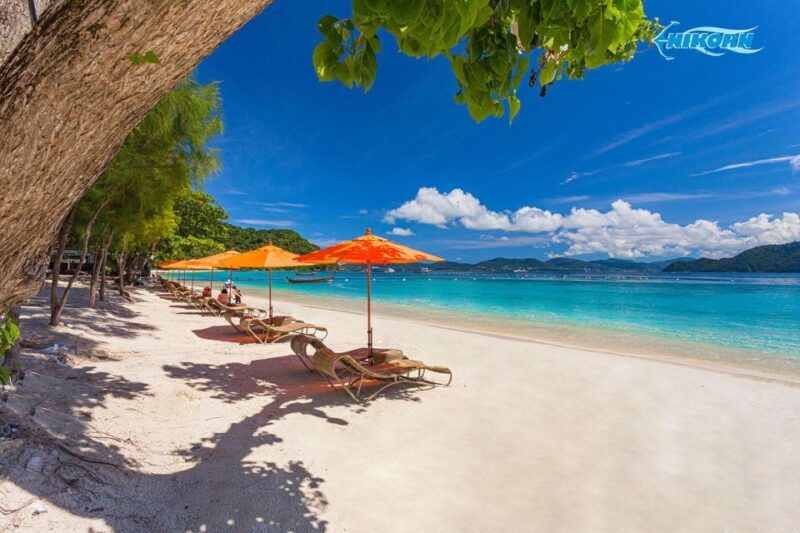 Phuket: Coral Island Half-Day Tour by Speedboat - Who Should Book This Tour?