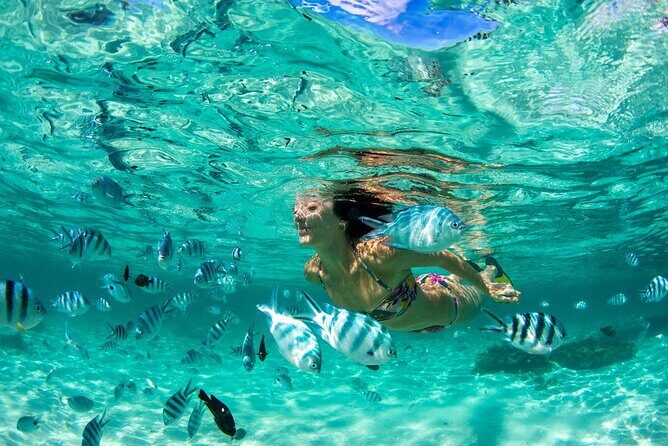 Phuket Coral Island Private Snorkeling Adventure All Inclusive - Key Points