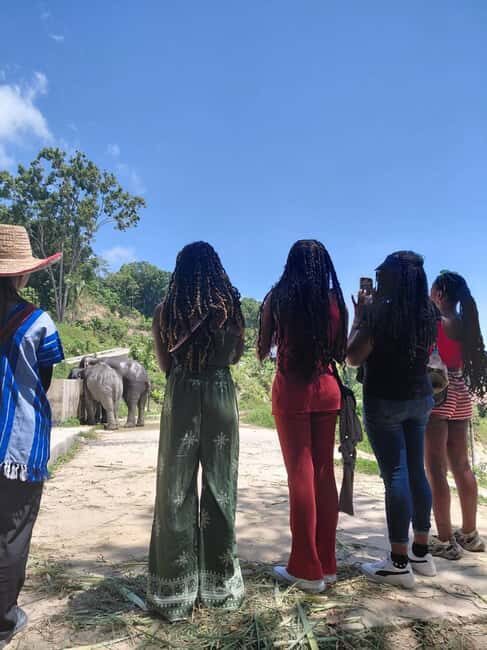 Phuket: Eco Guided Tour at Elephant Sanctuary - The Authentic Experience of Phuket’s Elephant Sanctuary