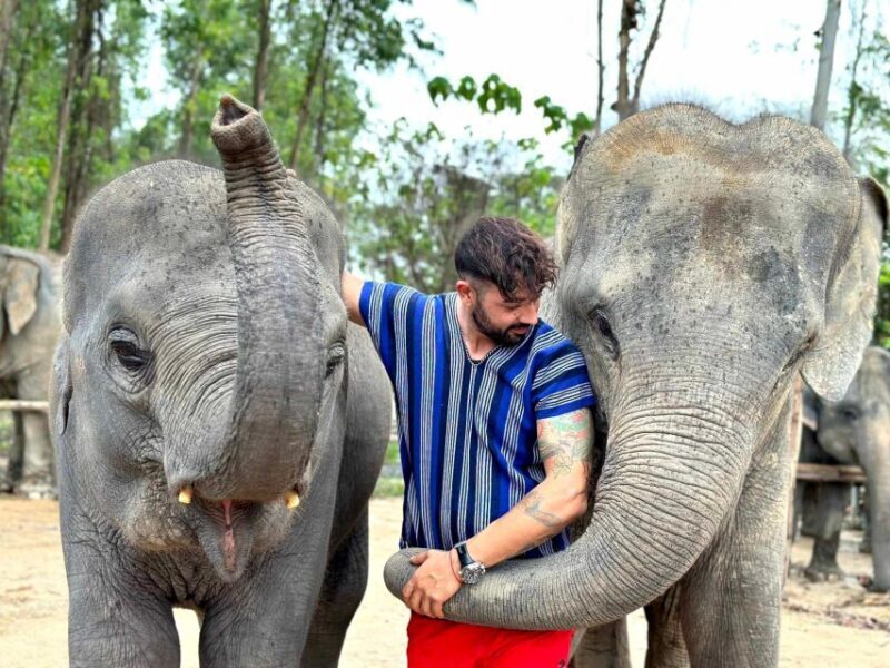 Phuket: Elephant Experience with Lunch or Dinner and Pickup - Authenticity and Impact: Why This Tour Matters