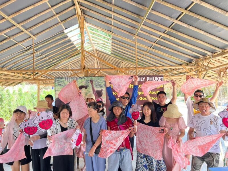 Phuket: Elephant Experience with Lunch or Dinner and Pickup - Value for Money