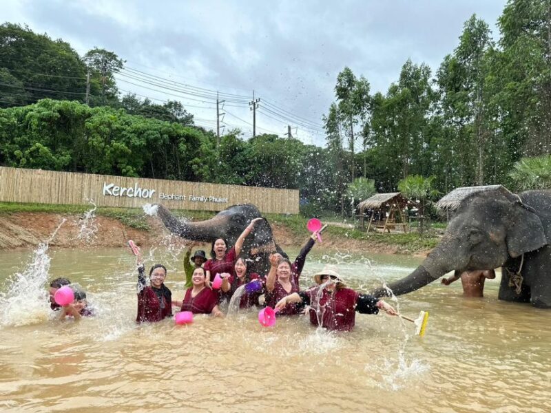 Phuket: Elephant Experience with Lunch or Dinner and Pickup - Who Should Consider This Tour?