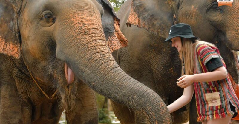 Phuket: Elephant Jungle Sanctuary Ethical Feeding Experience - What to Expect from Your Visit
