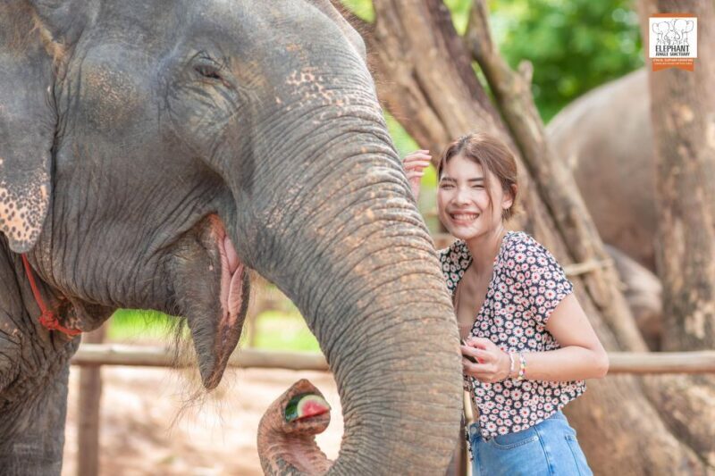 Phuket: Elephant Jungle Sanctuary Ethical Feeding Experience - Why This Experience Offers Great Value