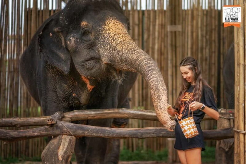 Phuket: Elephant Jungle Sanctuary Ethical Feeding Experience - FAQ
