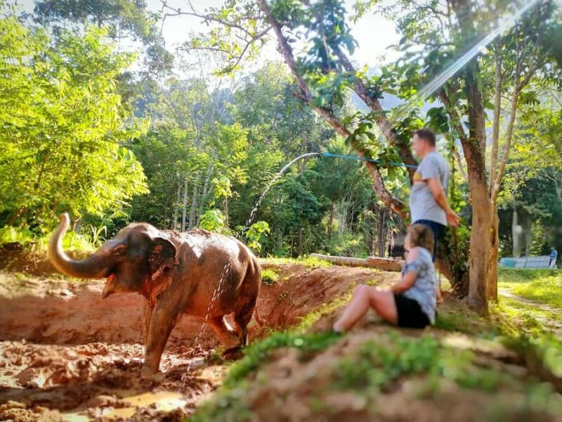 Phuket: Elephant Nature Reserve Entry Ticket and Guided Tour - Who Will Love This Experience?