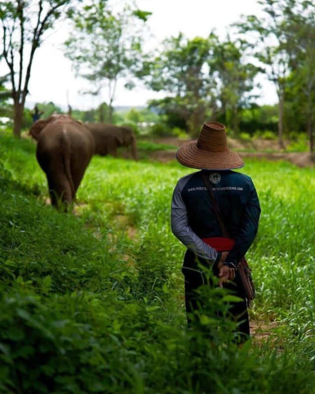 Phuket: Elephant Nature Reserve Entry Ticket and Guided Tour - Final Thoughts