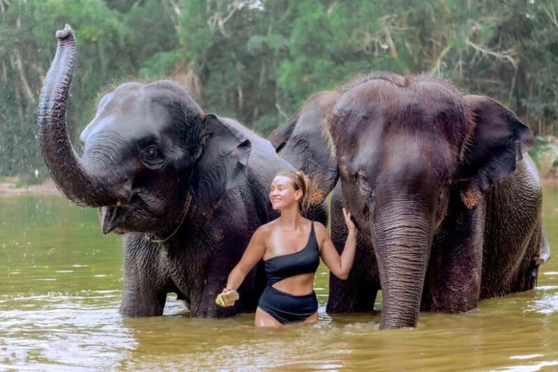 Phuket: Elephant Sanctuary Feed and Bathe Gentle Giants - A Practical Look at the Experience