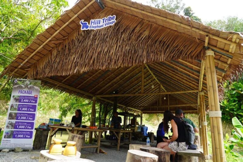 Phuket: Elephant Sanctuary Guided Tour with Hotel Transfers - An Authentic Encounter in Phuket’s Elephant Sanctuary