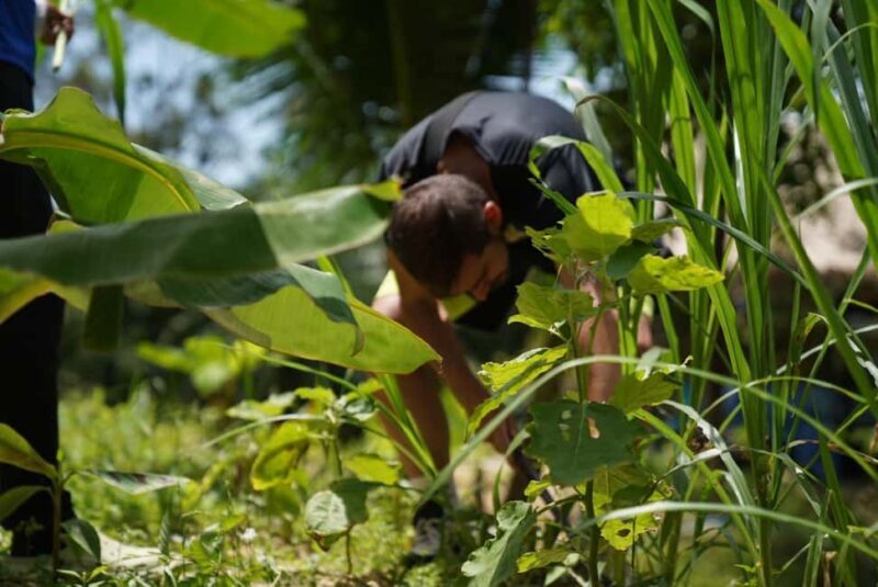 Phuket: Elephant Sanctuary Guided Tour with Hotel Transfers - Who Will Appreciate This Tour?
