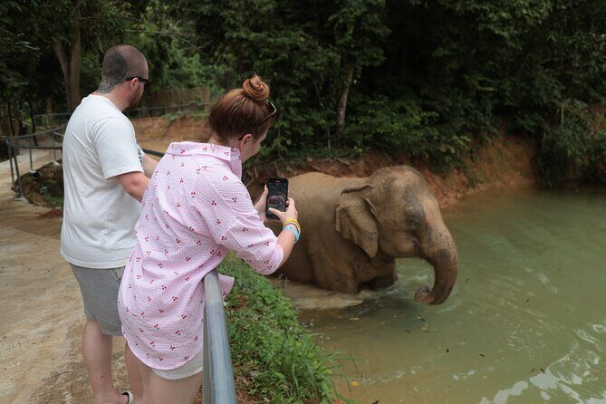 Phuket Elephant Sanctuary Observation and Cooking Class - What Travelers Say