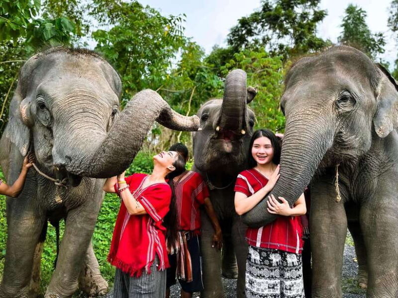 Phuket : Experience feeding and bathing elephants 1.5 Hrs. - Key Points