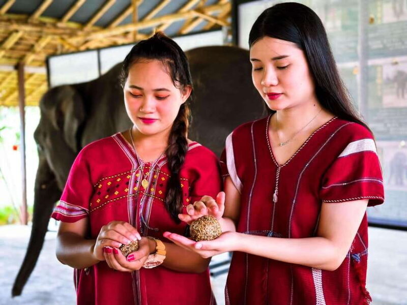 Phuket : Experience feeding and bathing elephants 1.5 Hrs. - An Honest Look at the Experience