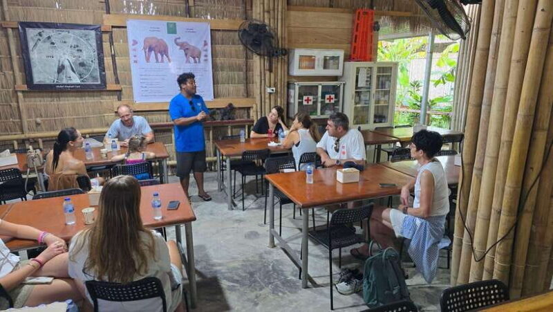 Phuket: Feeding Elephants at Phuket Elephant Care - What’s Included and What to Bring