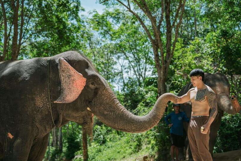Phuket: Feeding Elephants at Phuket Elephant Care - Considerations Before Booking