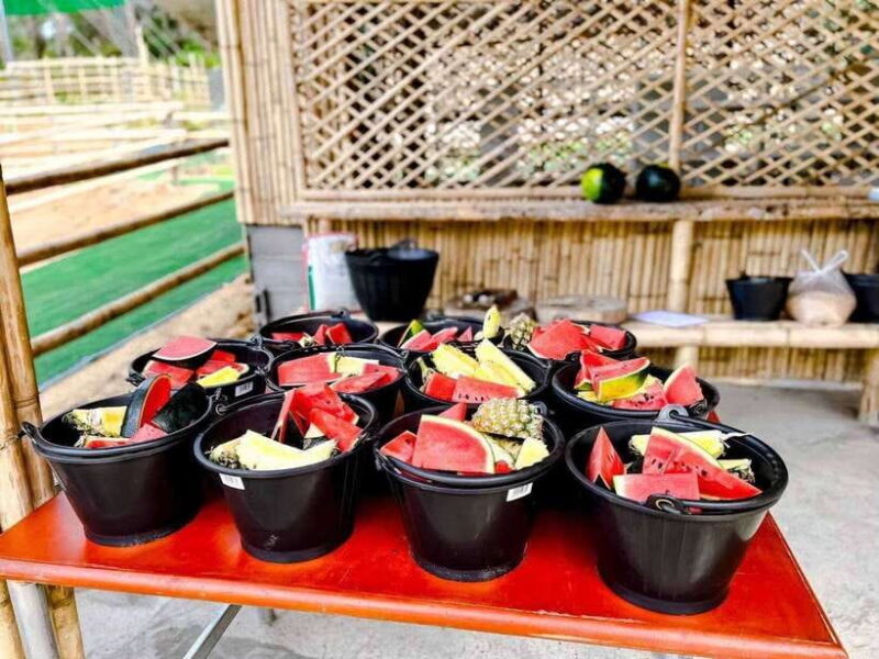 Phuket: Feeding Elephants at Phuket Elephant Care - Final Thoughts