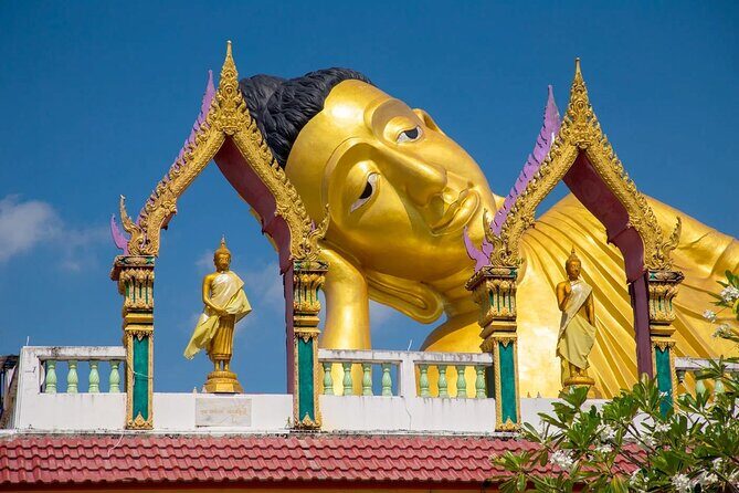Phuket Giant Water Lilies & Temple Tour - Private & All-Inclusive - The Sum Up