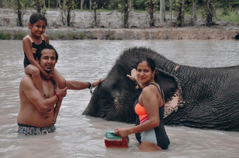 Phuket: Half Day or 2-Hour Ethical Elephant Care Sanctuary - Who Should Consider This Tour?