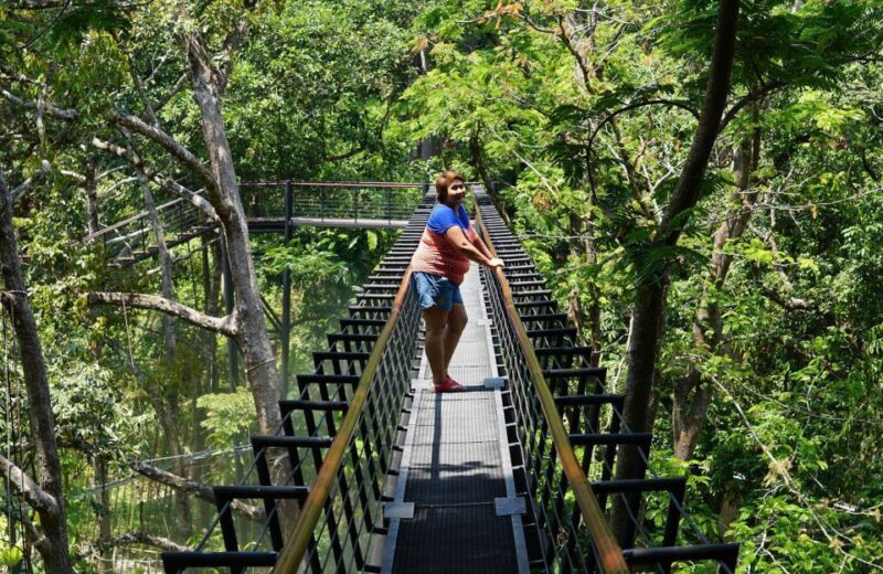 Phuket: Hanuman World Zip Line Adventure - Introduction