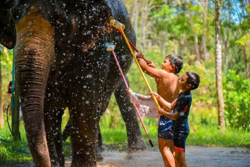 Phuket: Happy Hour Feed and Rain Shower with Elephant - Practical Tips for Visitors