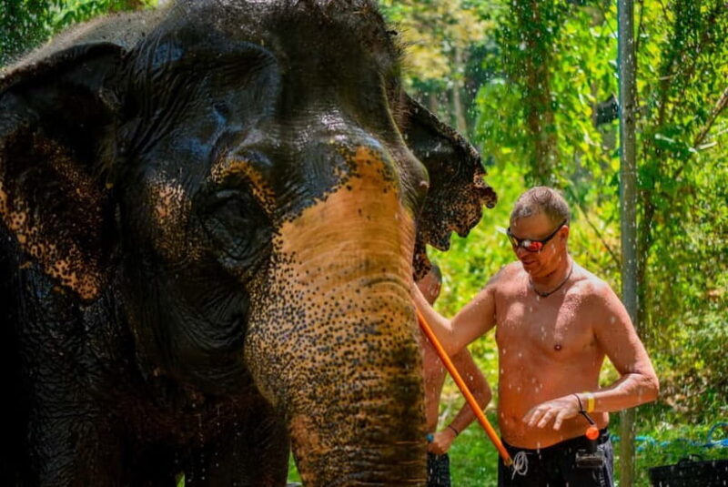Phuket: Happy Hour Feed and Rain Shower with Elephant - Final Thoughts