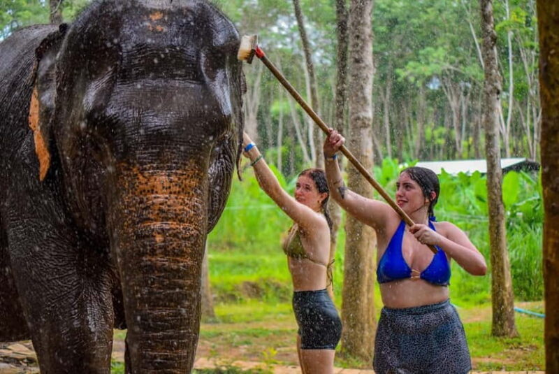 Phuket: Happy Hour Feed and Rain Shower with Elephant - FAQ
