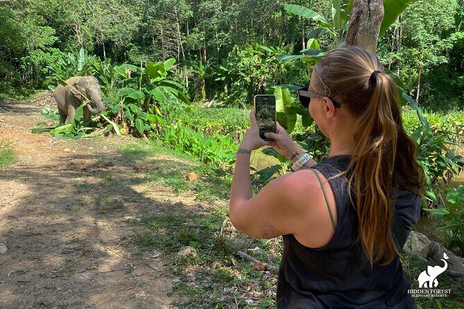 Phuket: Hidden Forest Elephant Reserve Guided Tour with Lunch - What to Expect from the Tour