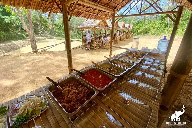 Phuket: Hidden Forest Elephant Reserve Guided Tour with Lunch - What Reviewers Love Most