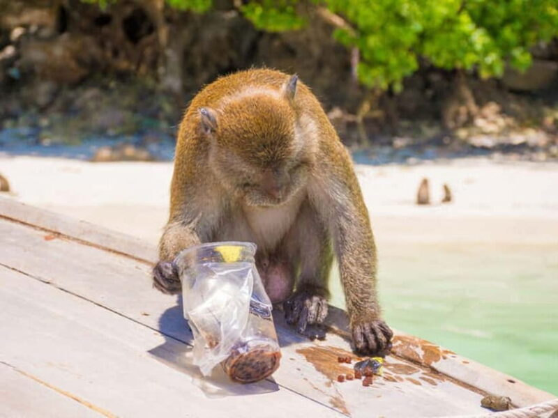 Phuket: James Bond Island Sea Canoe with lunch by Big Boat - An Honest Look at the Itinerary