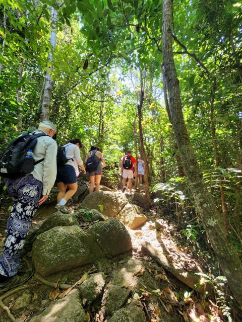 Phuket Lookouts Tour with Lunch at Organic Farm - Exploring Phuket’s Scenic Highlights