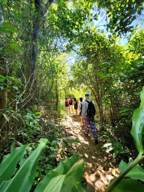 Phuket Lookouts Tour with Lunch at Organic Farm - FAQ