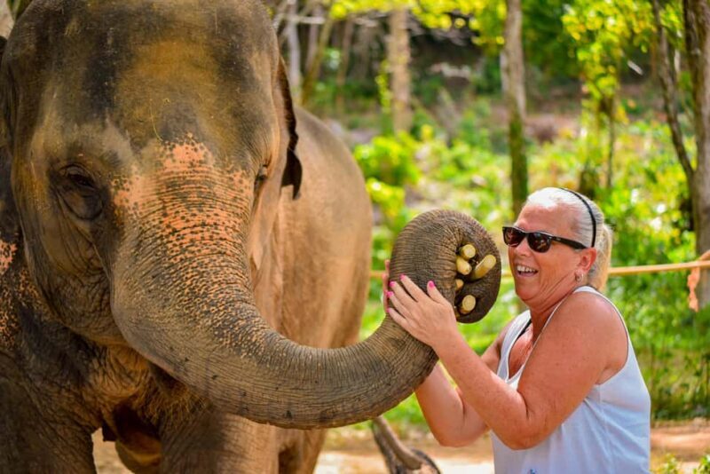 Phuket: Make & Meet The Gentle Giant Experience - Key Points