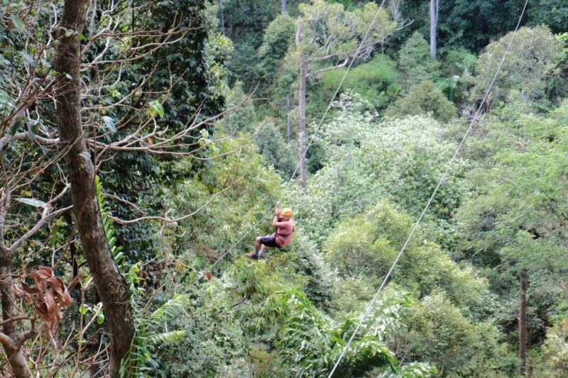 Phuket: Paradise Jungle Zipline Adventure - Why Choose This Tour?