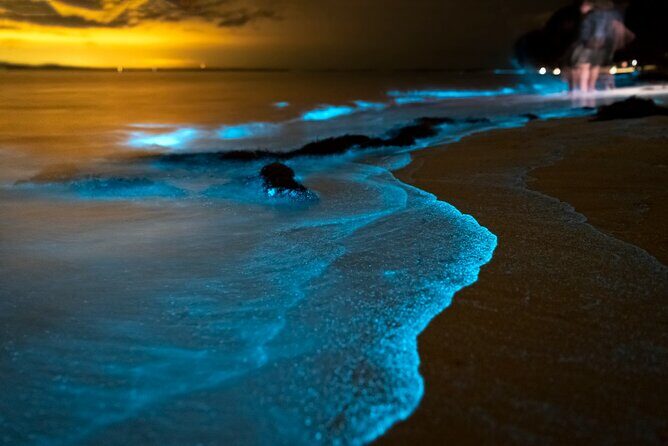 Phuket: Phang Nga Bay Bioluminescent Plankton and Sea Canoes tour - Exploring the Itinerary in Detail
