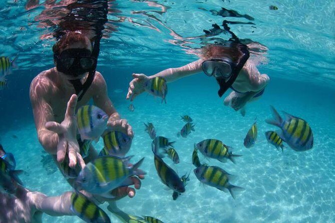 PHUKET-Phi Phi Island-Khai Island-Lunch by Sea Angel Speed Boat - Authentic Experiences and Real Guest Insights