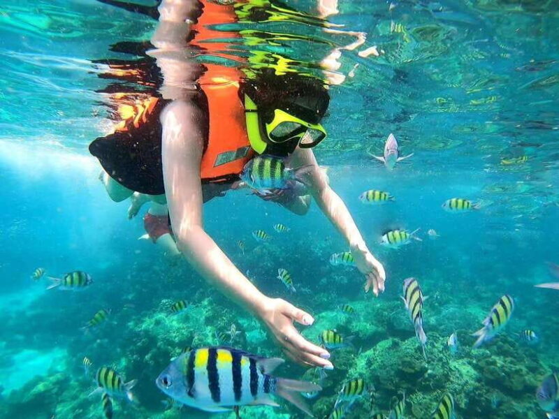 Phuket: Phi Phi Islands and Maya Bay Day Trip with Lunch - Transportation and Timing: The Details that Matter