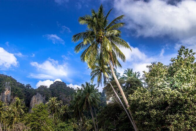 Phuket Phiphi-Phhpi Phuket Ferry include Transfer to hotel - Detailed Review of Phuket Phiphi-Phhpi Ferry Service