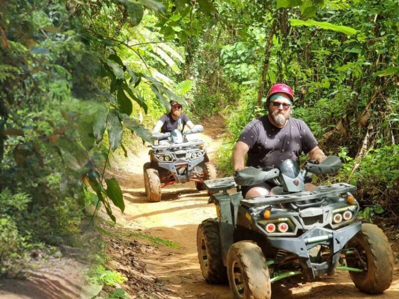 Phuket: Premium ATV Bike with Big Buddha Tour - Who Should Consider This Tour?
