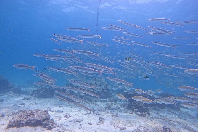 Phuket: Scuba Dive Racha and Coral Islands with Snorkeling Tour - What the Tour Includes and Excludes