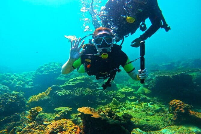 Phuket Scuba Diving Maiton Private Island Small Group or Snorkel - Who Should Consider This Tour?